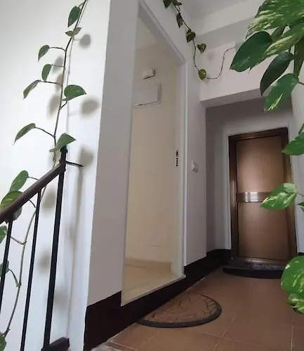 Penthouse In The Center 公寓 加的斯