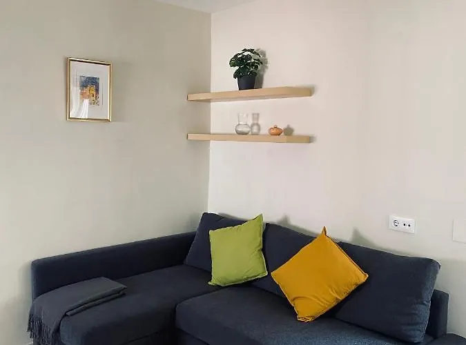 公寓 Penthouse In The Center *