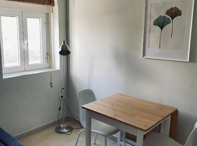 Penthouse In The Center Apartment