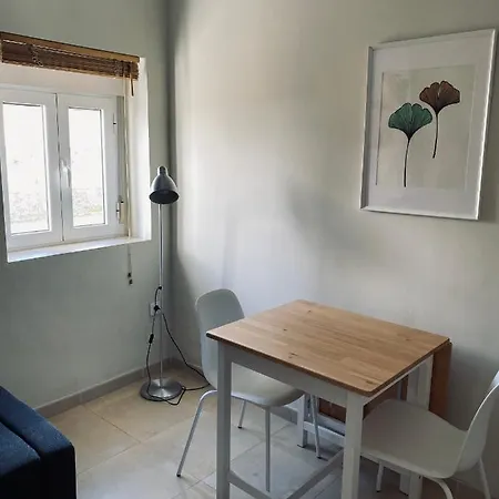 Penthouse In The Center Appartement