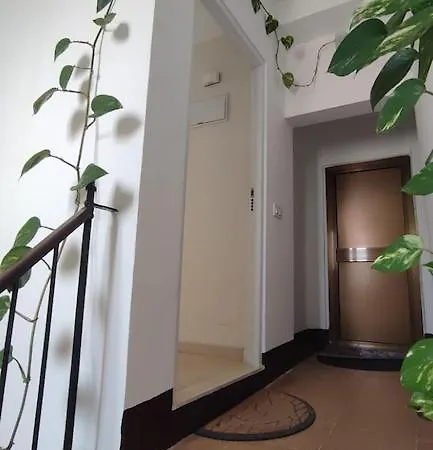 Penthouse In The Center דירה קדיז